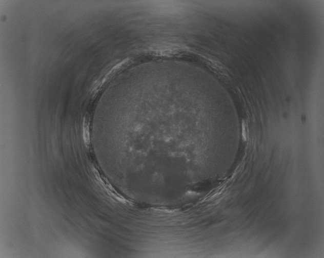 X0000056331155200508291245