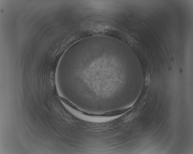 X0000056331156200508291245