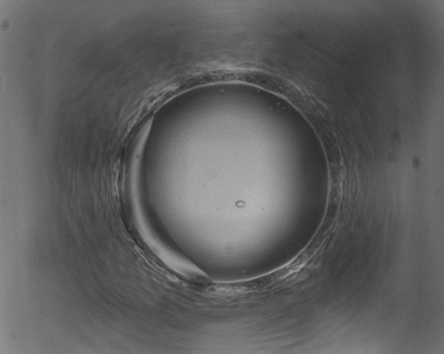 X0000056331157200508291245