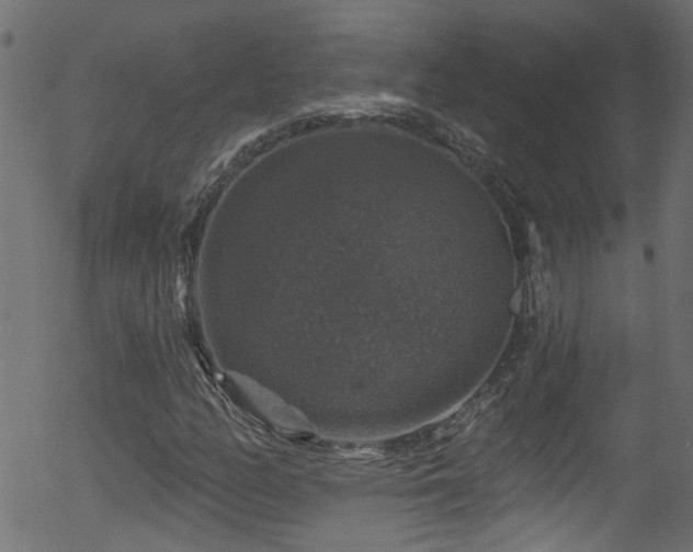 X0000056331158200508291245