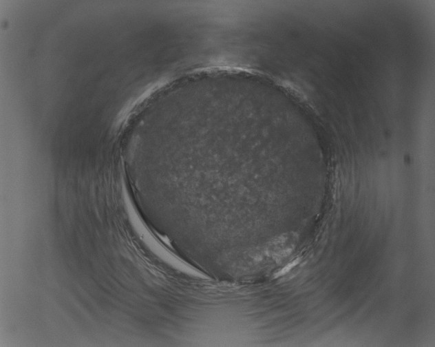 X0000056331159200508291245