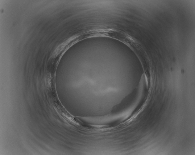 X0000056331161200508291244