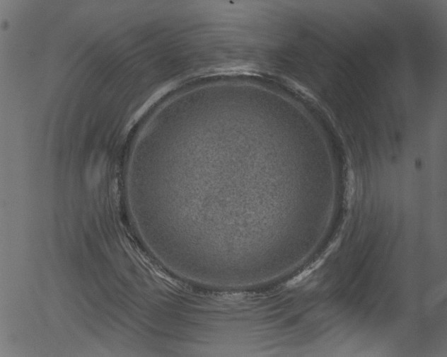 X0000056331162200508291244