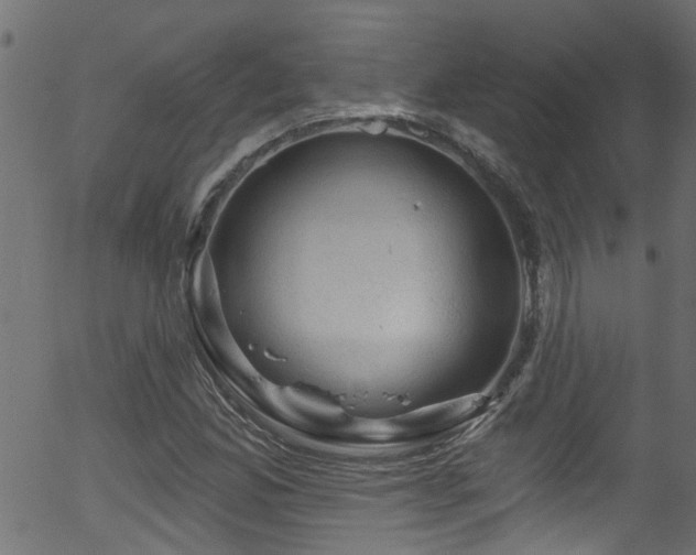 X0000056331165200508291244