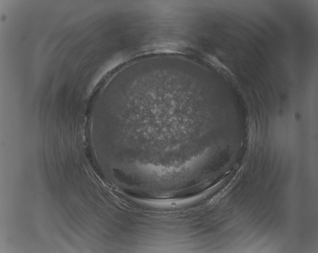 X0000056331166200508291244