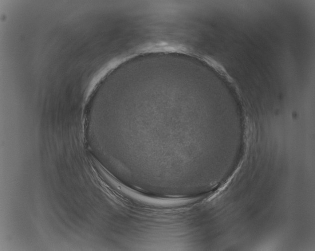 X0000056331167200508291244