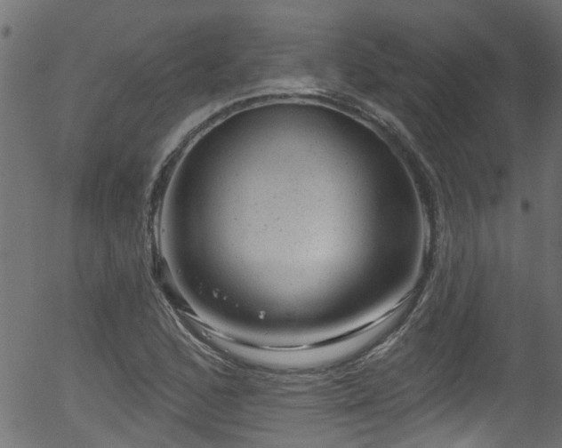 X0000056331168200508291244