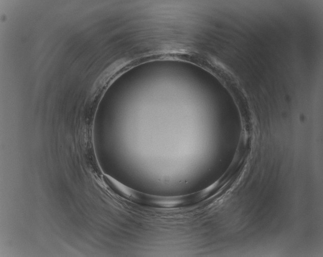 X0000056331169200508291244