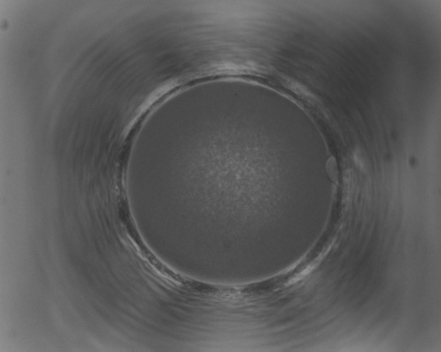 X0000056331170200508291244