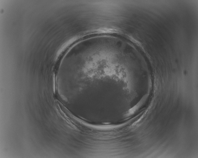 X0000056331171200508291244