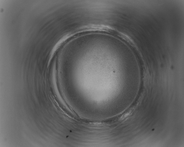 X0000056331172200508291244