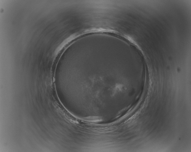 X0000056331173200508291244