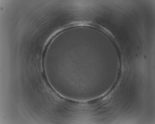 X0000056331174200508291244