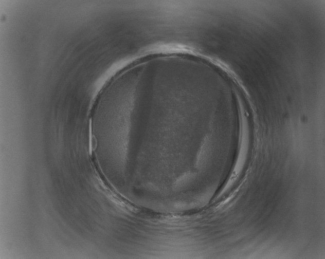 X0000056331175200508291244