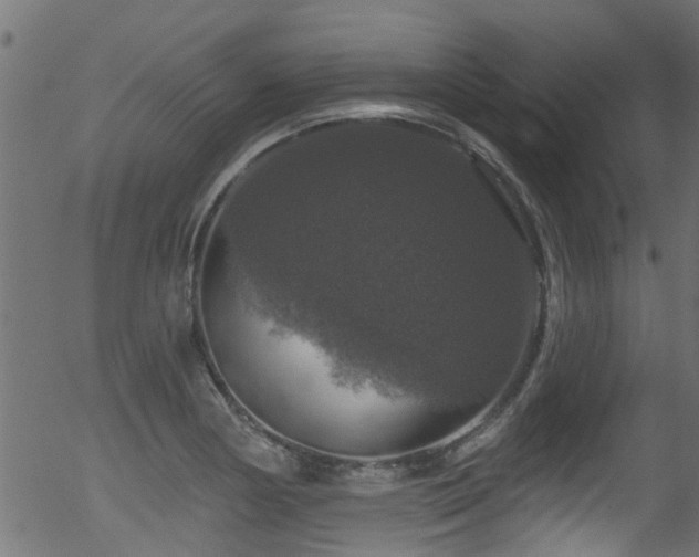 X0000056331178200508291244