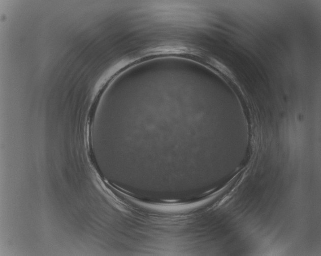 X0000056331179200508291244