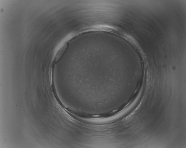 X0000056331180200508291244