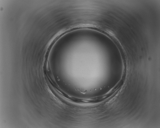 X0000056331181200508291244