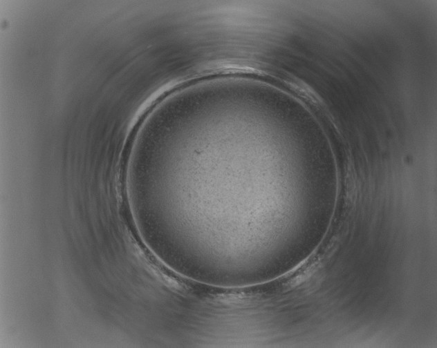 X0000056331182200508291244