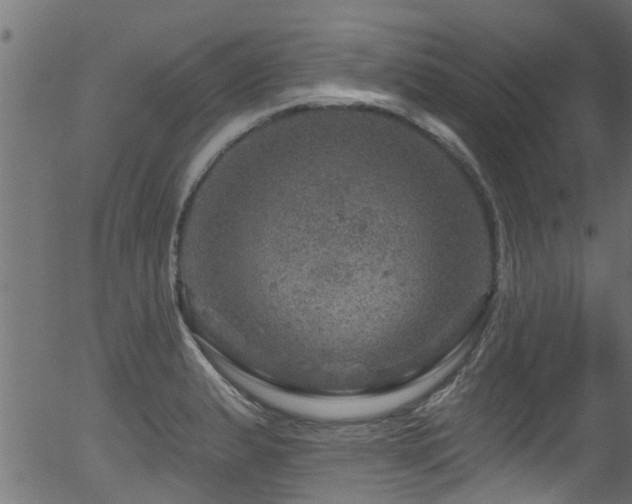 X0000056331183200508291244