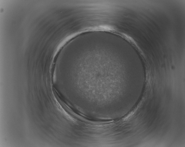 X0000056331184200508291244