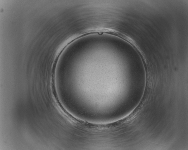 X0000056331187200508291244