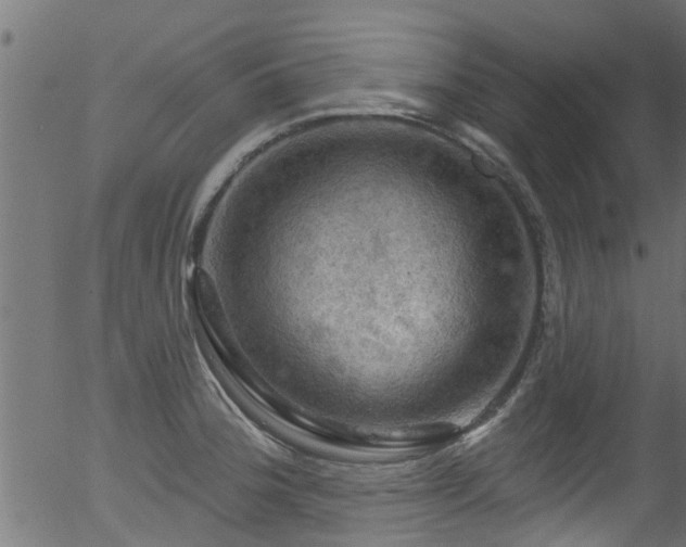 X0000056331188200508291244