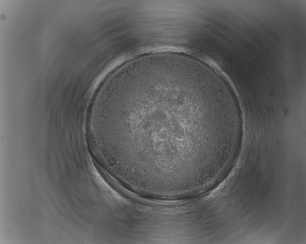 X0000056331189200508291244