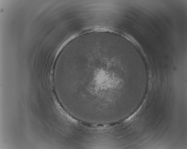 X0000056331190200508291244