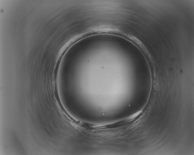 X0000056331191200508291244