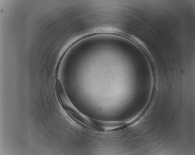 X0000056331192200508291244