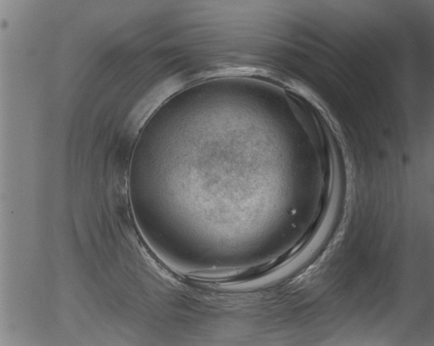 X0000056331193200508291244