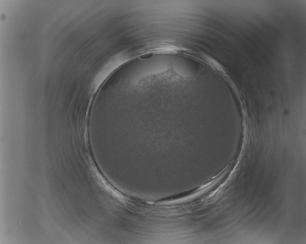 X0000056331194200508291244