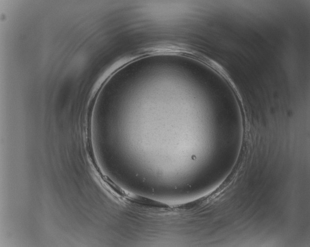 X0000056331195200508291244