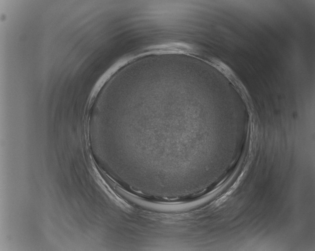 X0000056331196200508291244