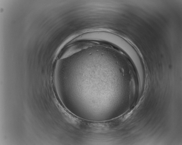 X0000056331197200508291244