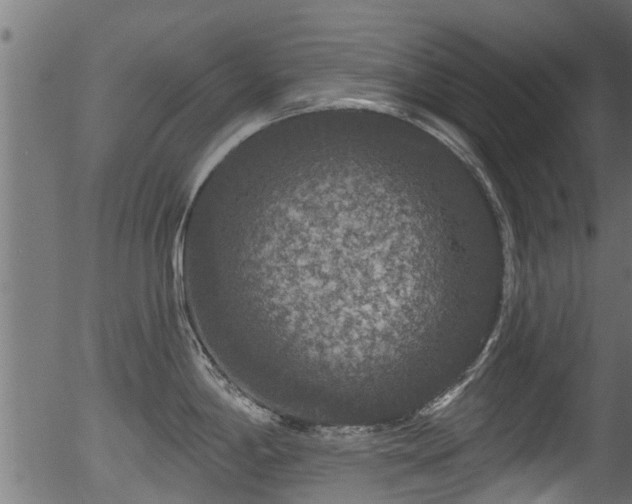 X0000056331198200508291244