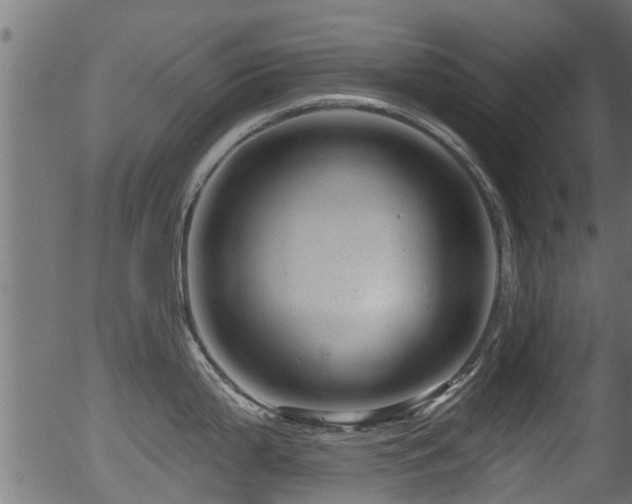 X0000056331199200508291244