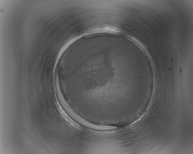 X0000056331200200508291244