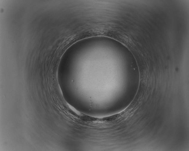 X0000056331201200508291243