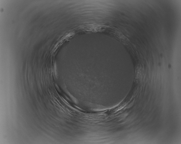 X0000056331202200508291243