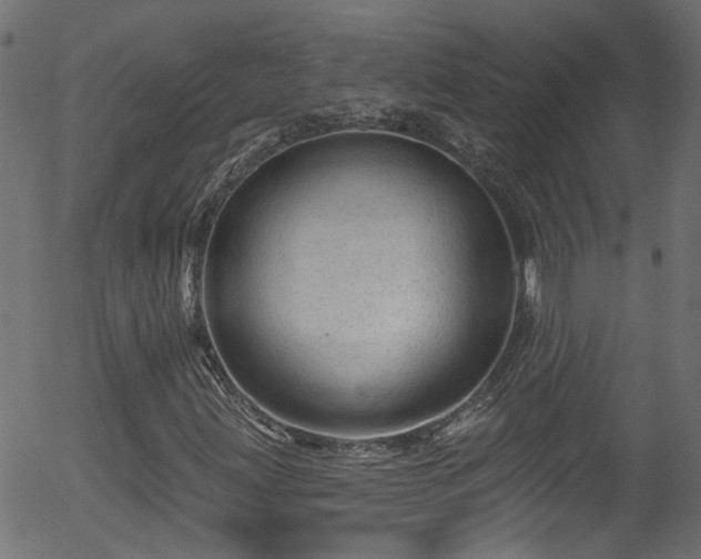 X0000056331203200508291243