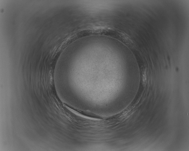 X0000056331204200508291243