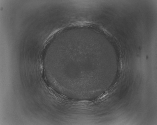 X0000056331206200508291243