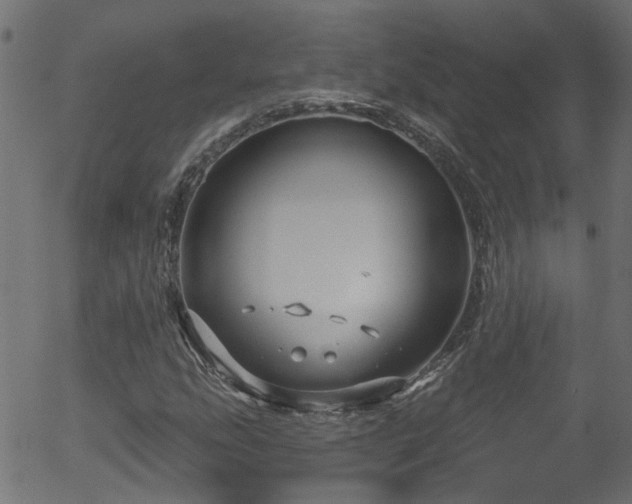 X0000056331207200508291243