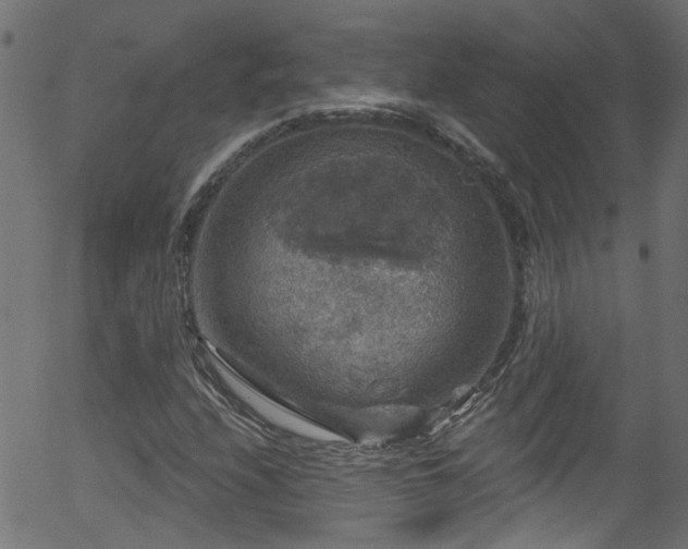 X0000056331208200508291243