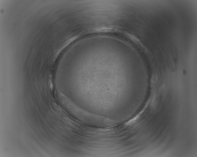 X0000056331209200508291243