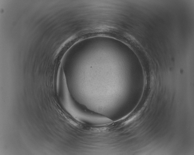 X0000056331210200508291243