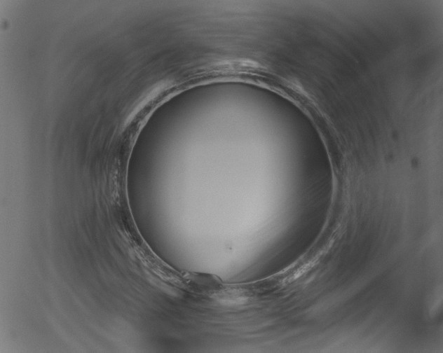 X0000056331211200508291243