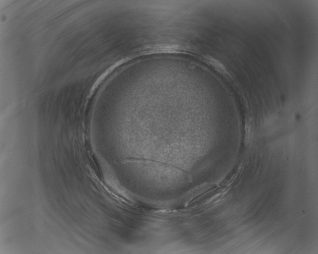 X0000056331212200508291243